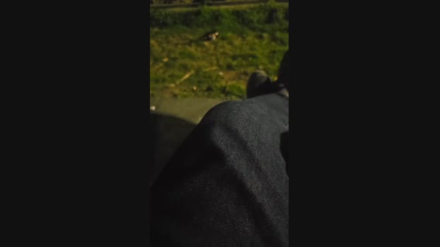 pollen_07 31-03-2024 Recorded Video fuckass