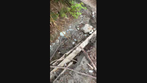 Diegomorbo_str 02-04-2024 Recorded Video deep