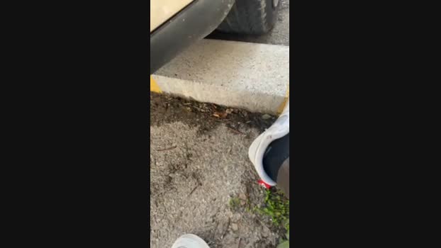 Pollonmario 01-04-2024 Recorded Video big