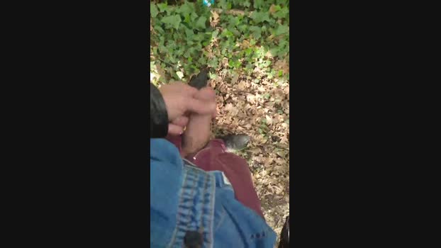 Scarearies 02-04-2024 Recorded Video fuckme