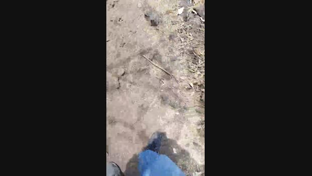 diego2634 02-04-2024 Recorded Video amateur