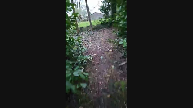 monsterlover 02-04-2024 Recorded Video Ass