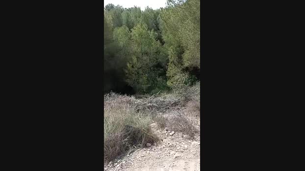 Gastea1 05-04-2024 Recorded Video beautiful