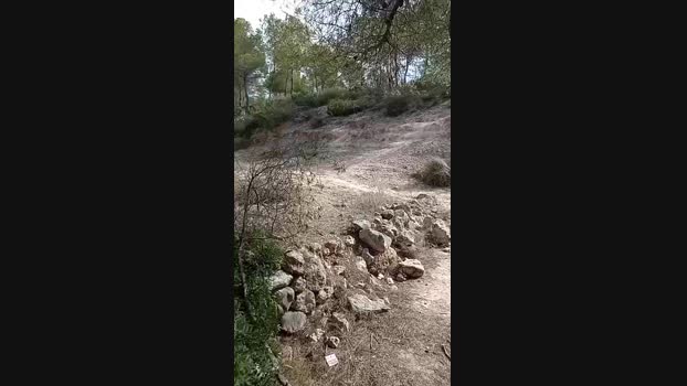 Gastea1 05-04-2024 Recorded Video squirt