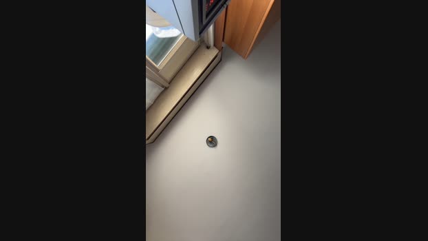 Netoweed 05-04-2024 Recorded Video bigcock