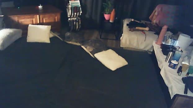 SchagenNH 04-04-2024 Recorded Video Show