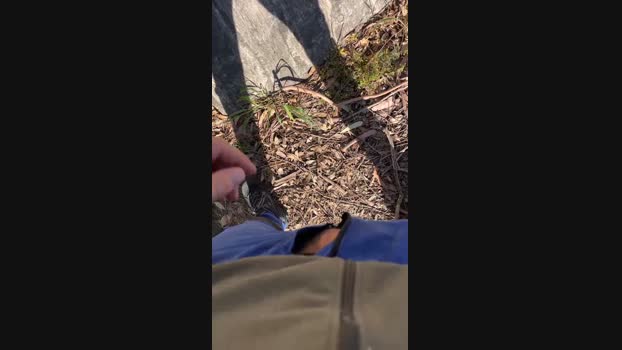 Elisir1987 06-04-2024 Recorded Video sexykitty