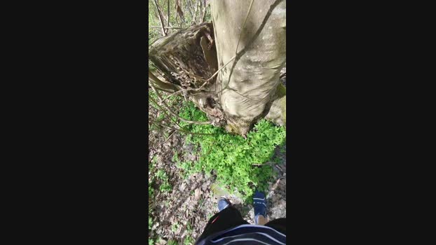 Minipic 06-04-2024 Recorded Video naughty