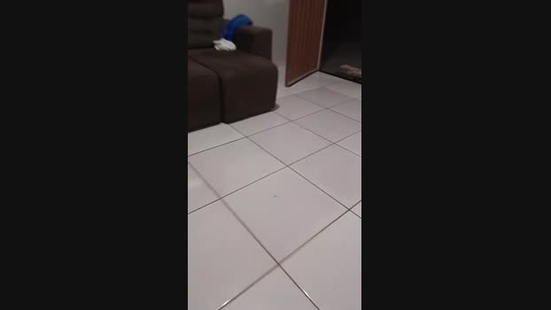 amantedoprazer2 06-04-2024 Recorded Video naked