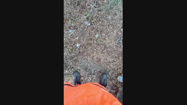 brayanchileno 05-04-2024 Recorded Video legs