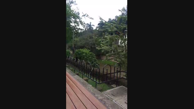 grandeygruesa1 06-04-2024 Recorded Video hard