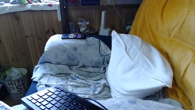 pao_onsen2 06-04-2024 Recorded Video deep