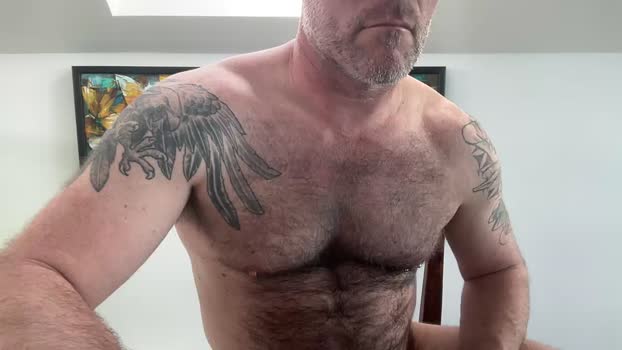 archiethedog 07-04-2024 Recorded Video Download