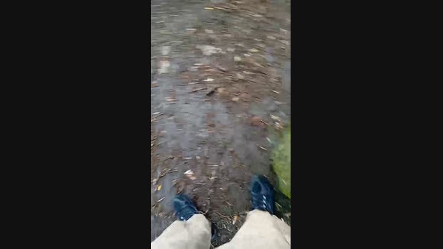 bearcruising85 06-04-2024 Recorded Video Download