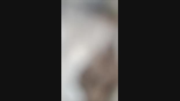 Bullypoy 08-04-2024 Recorded Video bicurious