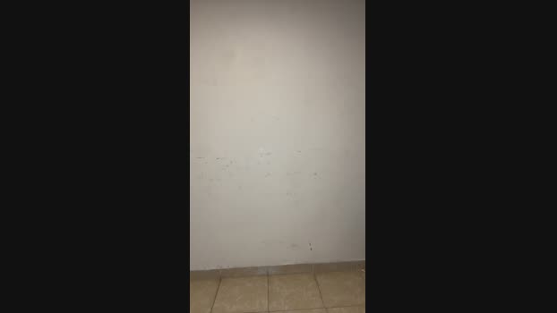 Davebunnny3