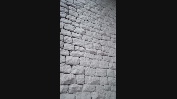 Raul439 07-04-2024 Recorded Video ass