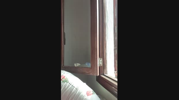 iogurinmallorca 07-04-2024 Recorded Video beauty
