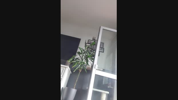 suckerbln1 08-04-2024 Recorded Video jerkoff
