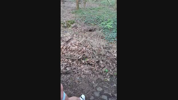 Germanppbottom 08-04-2024 Recorded Video natural