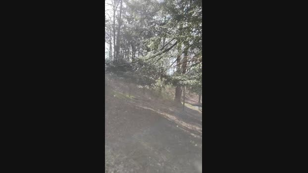 ahiker420hot 08-04-2024 Recorded Video Ass