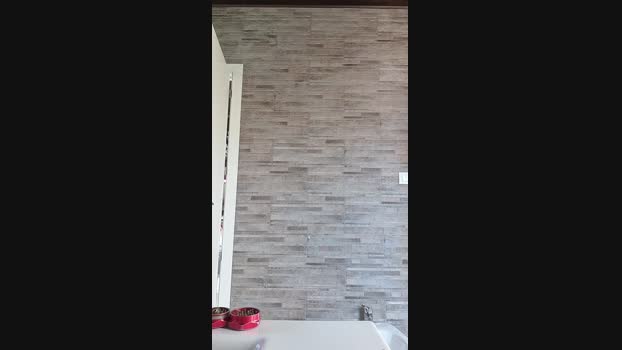 Gatinho_spain 10-04-2024 Recorded Video big