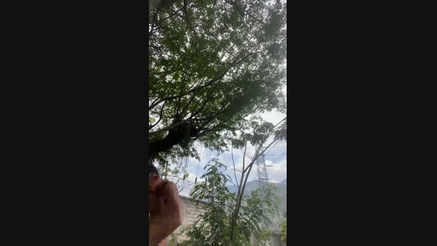 Skinny23cm 09-04-2024 Recorded Video bigass