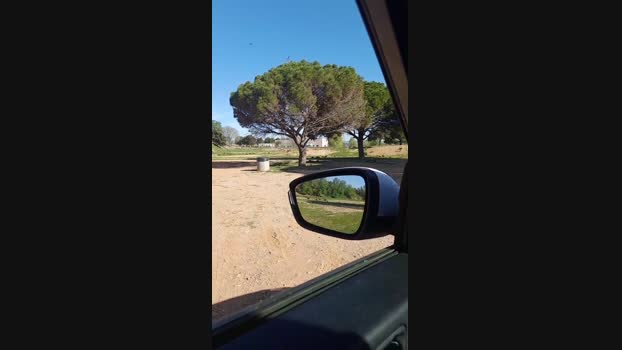 Bcnees 11-04-2024 Recorded Video ass