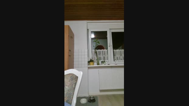 Doperman 11-04-2024 Recorded Video big