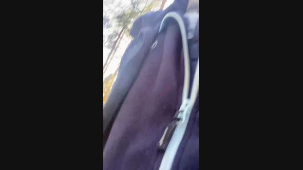 stefanoeverlan1 11-04-2024 Recorded Video Cam