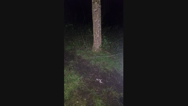 Bumfunfan1 12-04-2024 Recorded Video hard