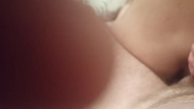Gato23_cm