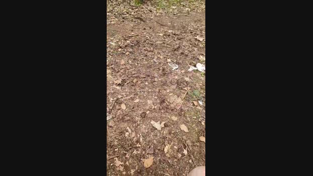 Outdoorgeil1 12-04-2024 Recorded Video strip