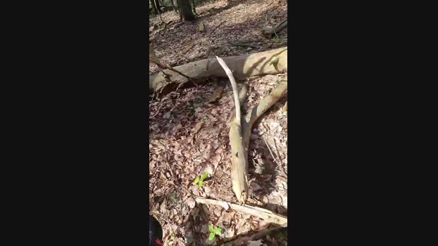 Outdoorgeil1 12-04-2024 Recorded Video Recorded