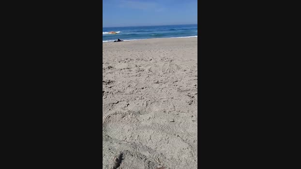 bearcruising85 12-04-2024 Recorded Video moan