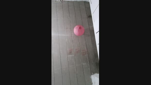 dudi21 12-04-2024 Recorded Video suckcock