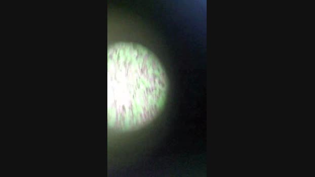 Doperman 13-04-2024 Recorded Video bigdick