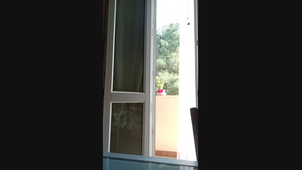 Elettricistaa 13-04-2024 Recorded Video orgasm