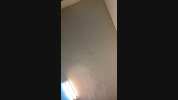 Foxfoxfox 13-04-2024 Recorded Video hard