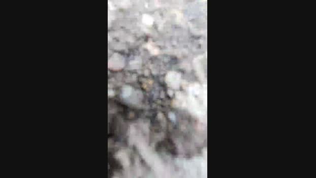 GRECOBOY 13-04-2024 Recorded Video XXX