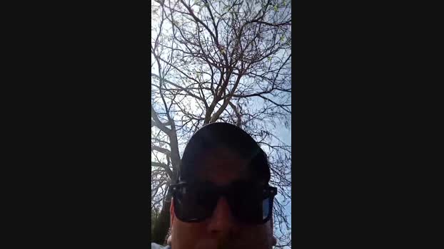 bearcruising85 13-04-2024 Recorded Video moan