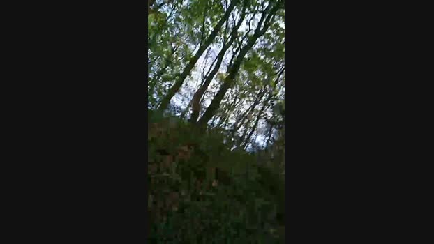 bearcruising85 13-04-2024 Recorded Video lush