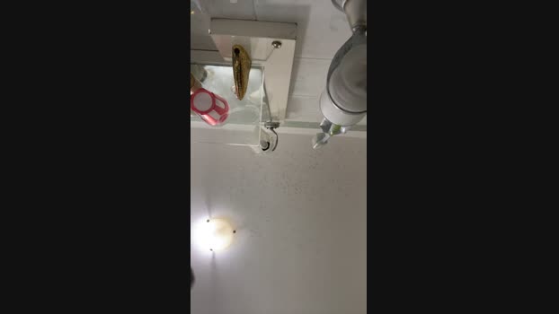 igor1872 13-04-2024 Recorded Video Show