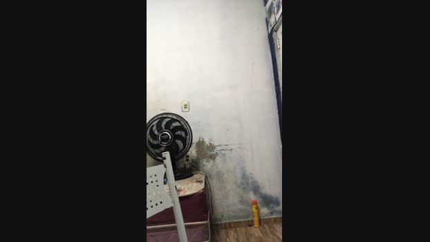 Jogador055 13-04-2024 Recorded Video Show