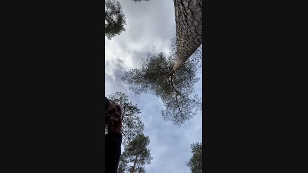 stefanoeverlan1 14-04-2024 Recorded Video fuckface