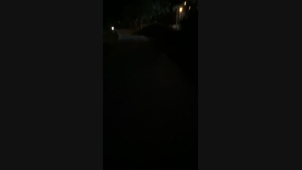 Foxfoxfox 16-04-2024 Recorded Video big