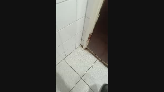 MagrinAlemao 15-04-2024 Recorded Video lush