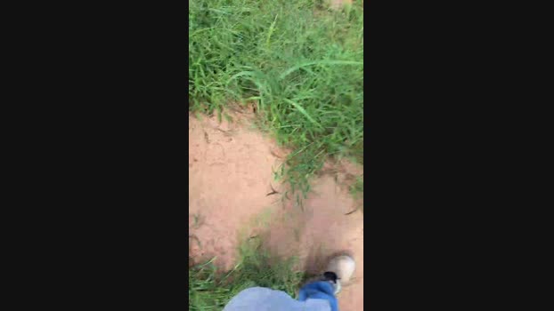 Ribeirosiebes 15-04-2024 Recorded Video beautiful