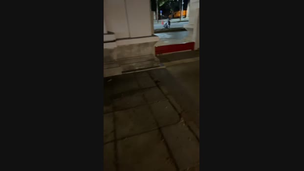 chappypipi 16-04-2024 Recorded Video fuck
