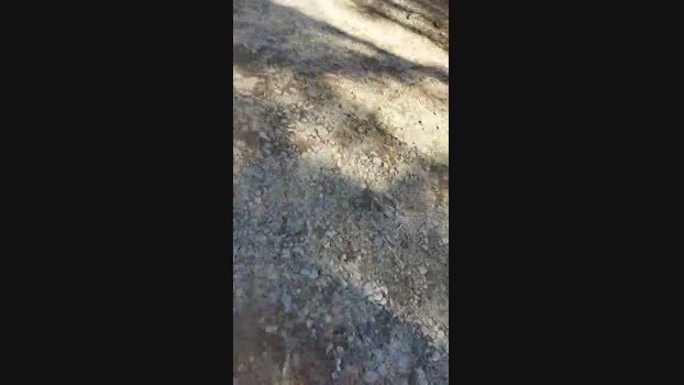 thesarce 16-04-2024 Recorded Video fuckme